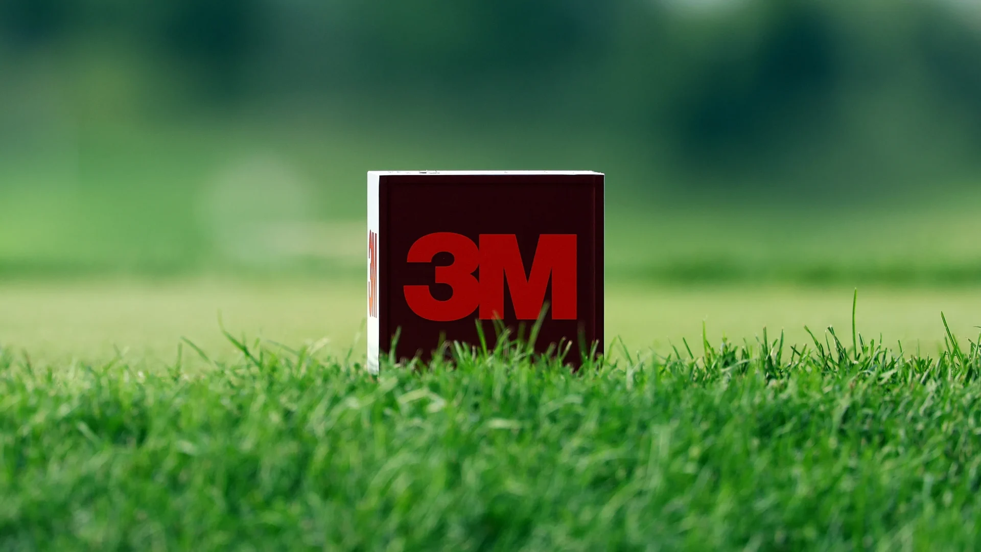 3M Open 2026