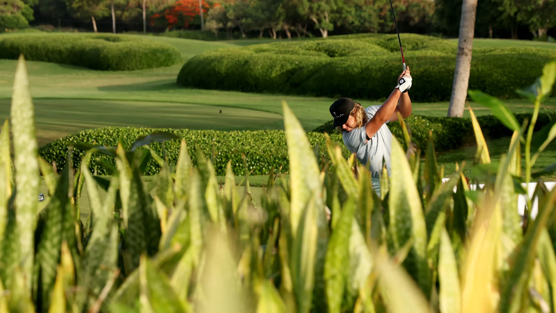 corales puntacana championship 2026