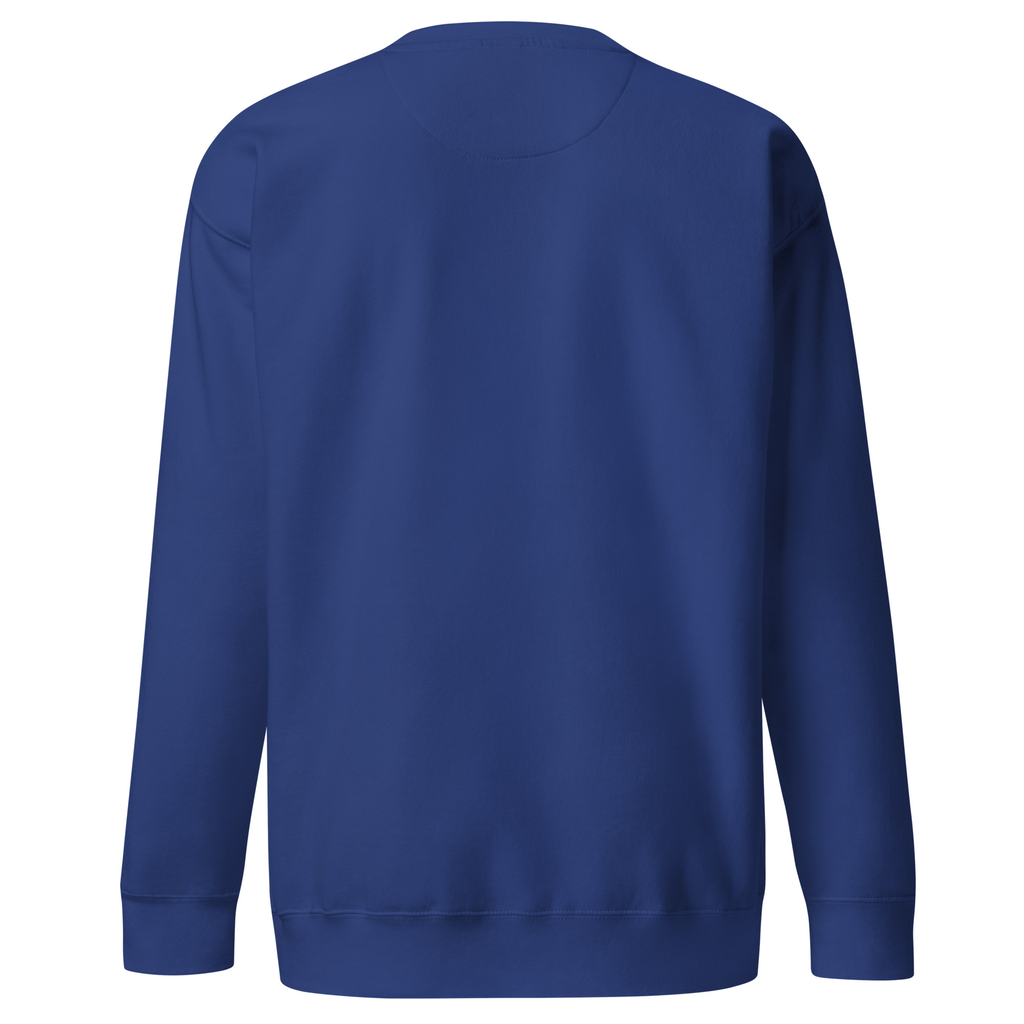 Photo produit détourée du sweat bleu Feeling Birdie